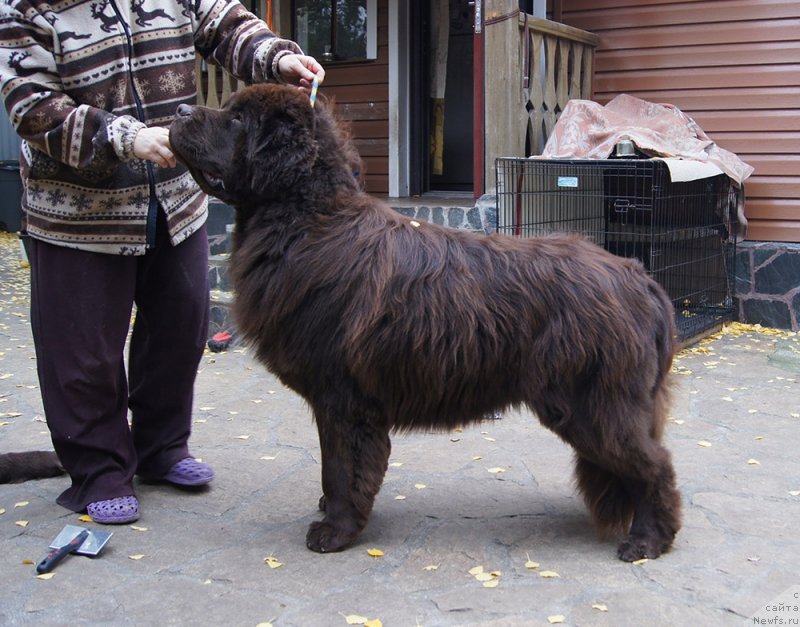 Фотография № 214417