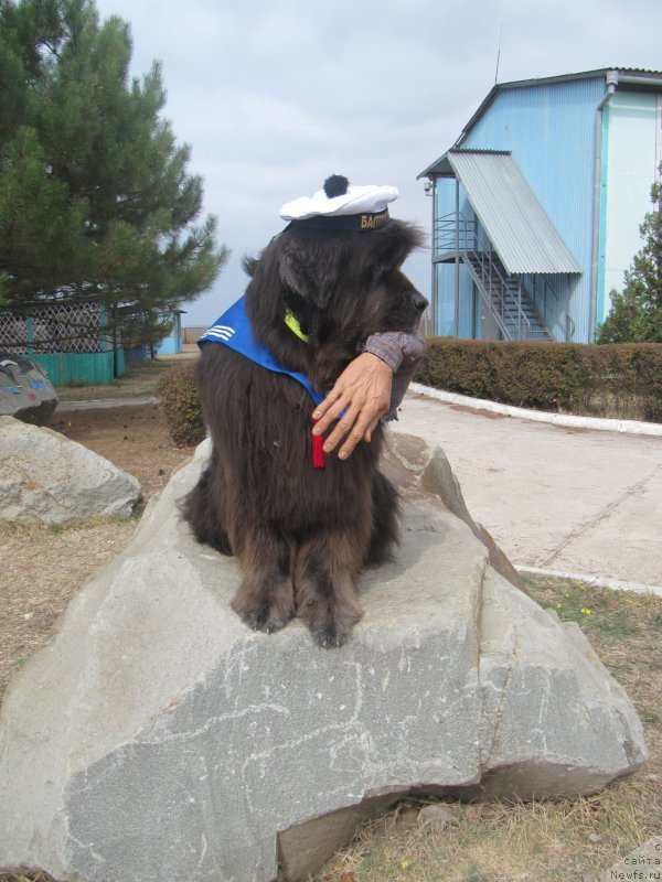 Фотография № 214429