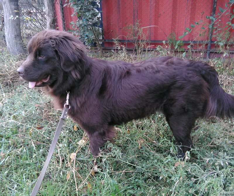 Фотография № 214433