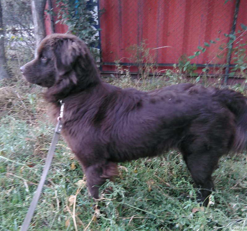 Фотография № 214434