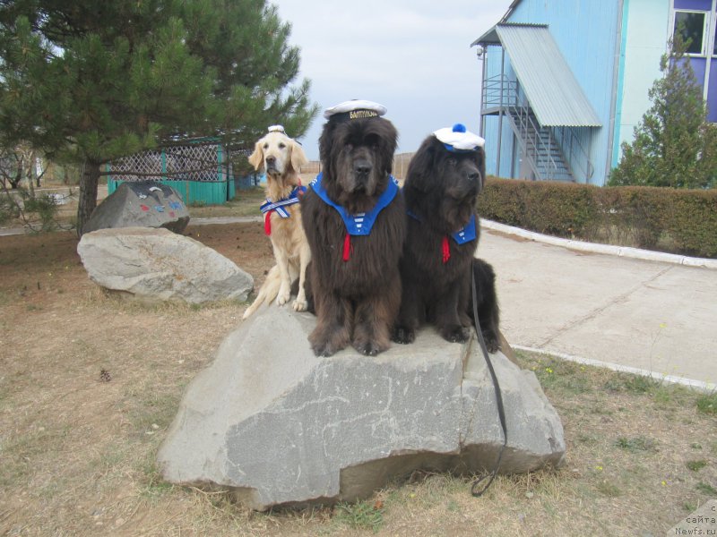 Фотография № 214440