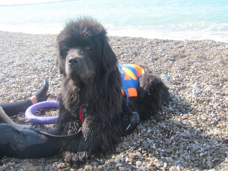 Фотография № 214442