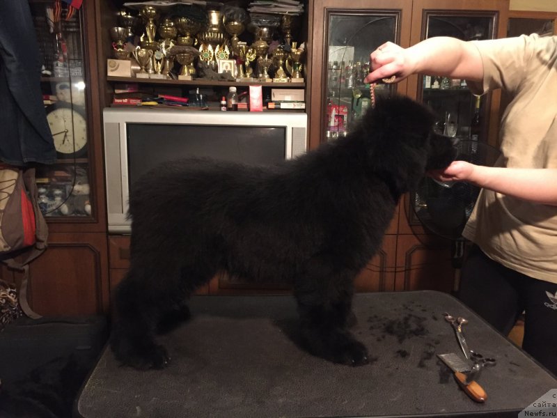 Фотография № 214455