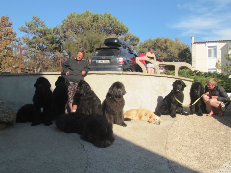 Фотография № 214456