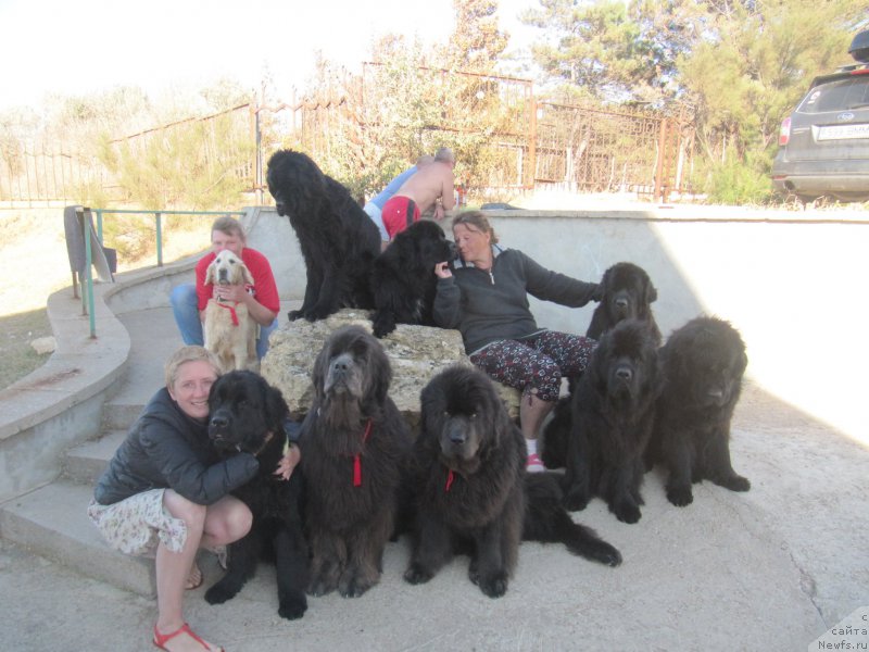 Фотография № 214461