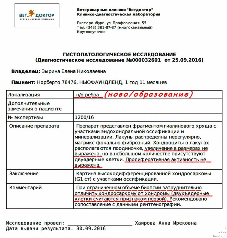 Фотография № 214467