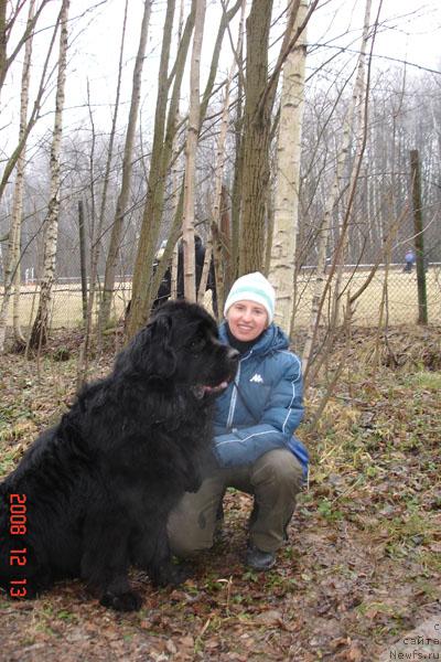 Фото: ньюфаундленд Желанный Друг с Берега Дона, Олеся Краснова