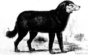 Фотография № 21449