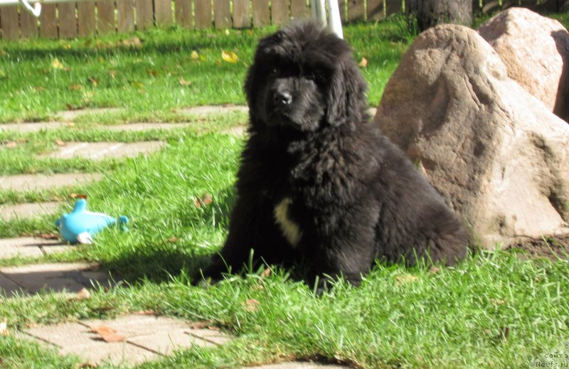 Фотография № 214496