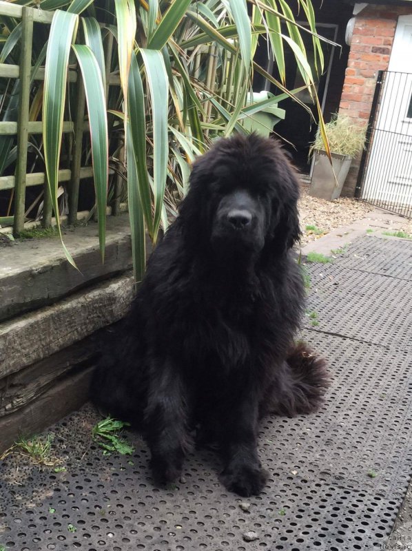 Фотография № 214507