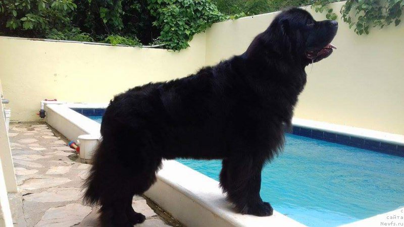 Фотография № 214508