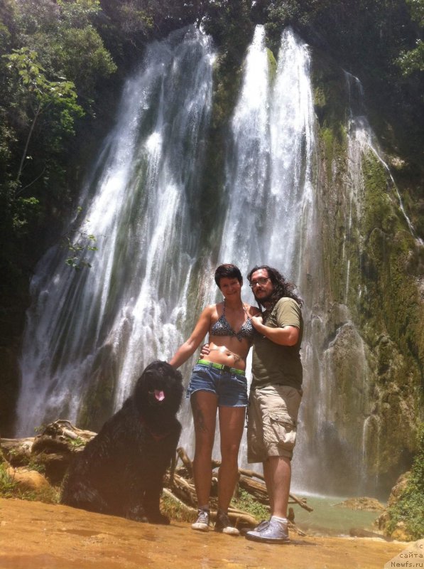 Фотография № 214511