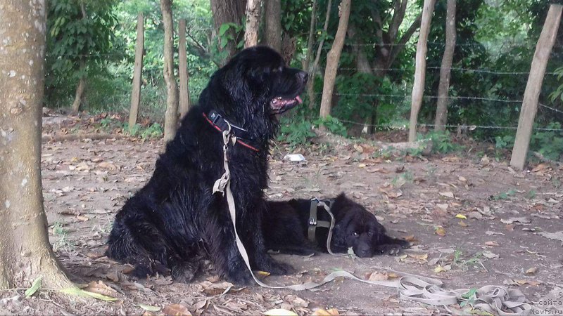 Фотография № 214512