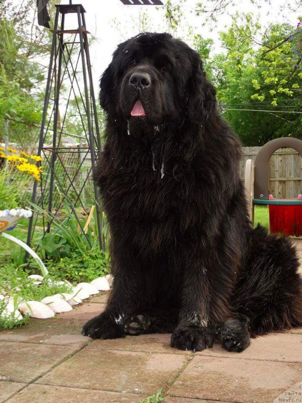 Фотография № 214513