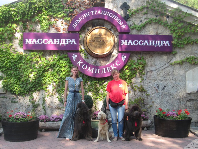 Фотография № 214515