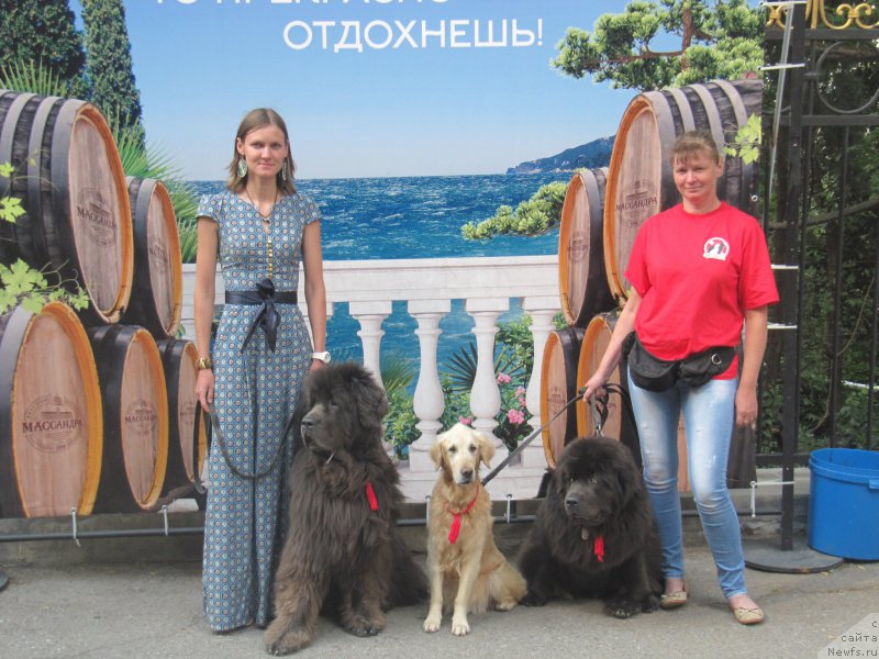 Фотография № 214516