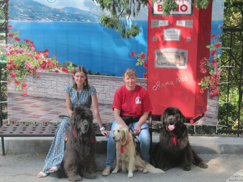 Фотография № 214517