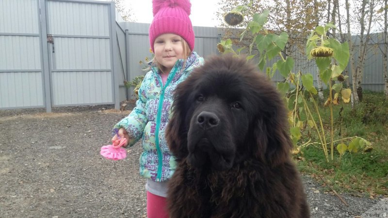 Фотография № 214536