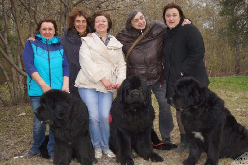 Фотография № 214549