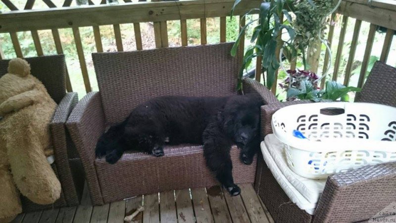 Фотография № 214550