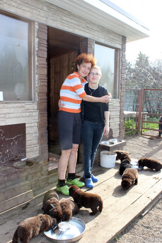 Фото: Екатерина Федотова, Евгения Федотова, ньюфаундленд Браунблад МСК Амадей-Дефендер (Brownblood MSK Amadey-Defender), ньюфаундленд Браунблад МСК Аназер Лав Тендер Эбони (Brownblood MSK Another Love Tender Ebony), ньюфаундленд Браунблад МСК Альфа-Ромео Голд Бадди (Brownblood MSK Alfa-Romeo Gold Baddy), ньюфаундленд Браунблад МСК Абрамс-Стронг (Brownblood MSK Abrams-Strong), ньюфаундленд Браунблад МСК Ауди Рэд Лэсс (Brownblood MSK Audi Red Less), ньюфаундленд Браунблад МСК Армата Лойар Аид (Brownblood MSK Armata Loyar Aid), ньюфаундленд Браунблад МСК Альпина Гуардиан Соул (Brownblood MSK Alpina Guardian Soul), ньюфаундленд Браунблад МСК Аванти Дарлинг Кид (Brownblood MSK Avanti Darling Kid)