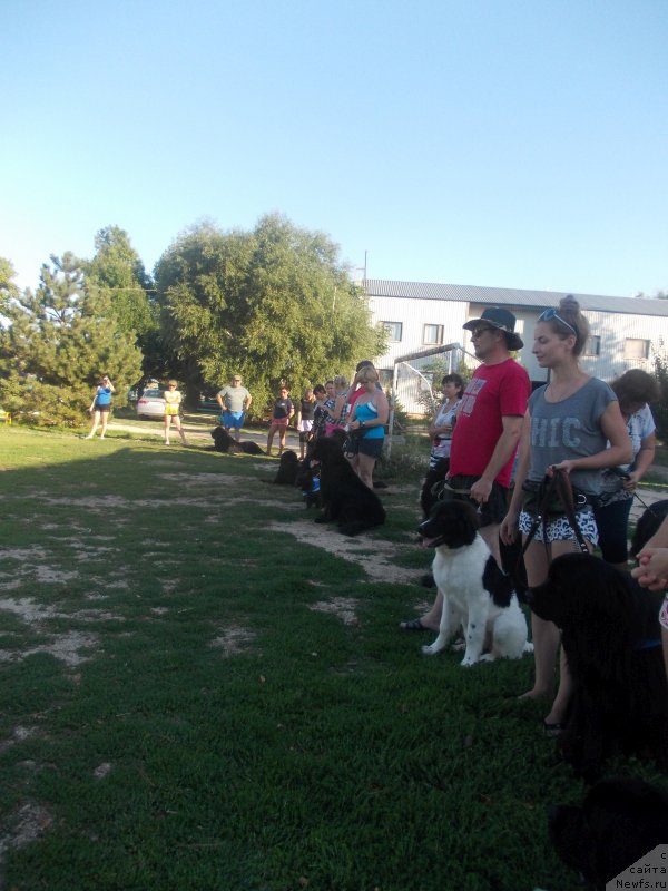 Фотография № 214606