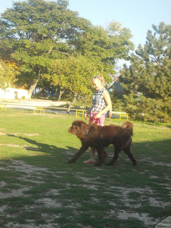 Фотография № 214607