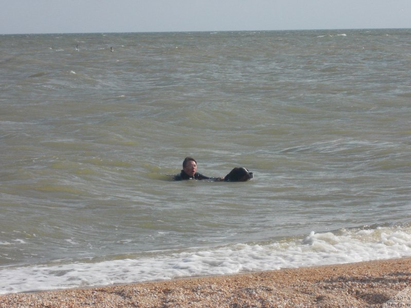 Фотография № 214610