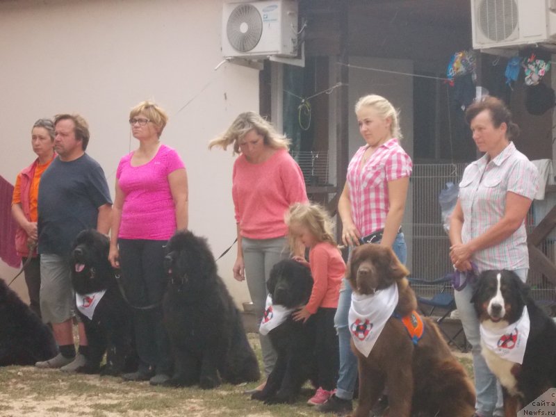 Фотография № 214611