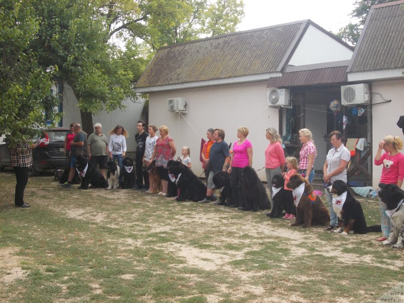 Фотография № 214612