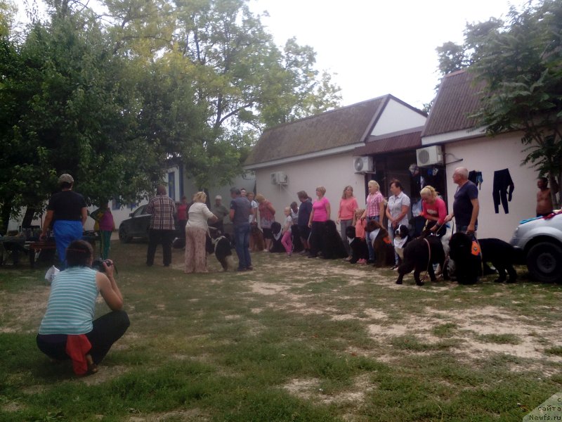 Фотография № 214613