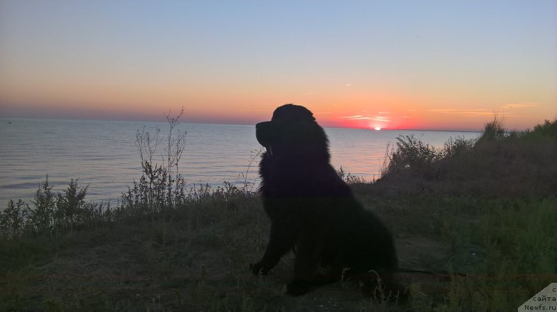 Фотография № 214615