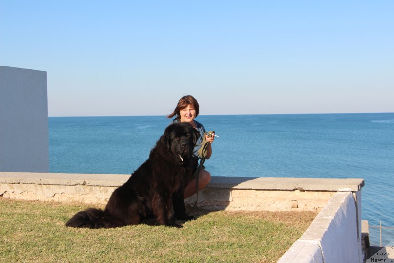 Фотография № 214619