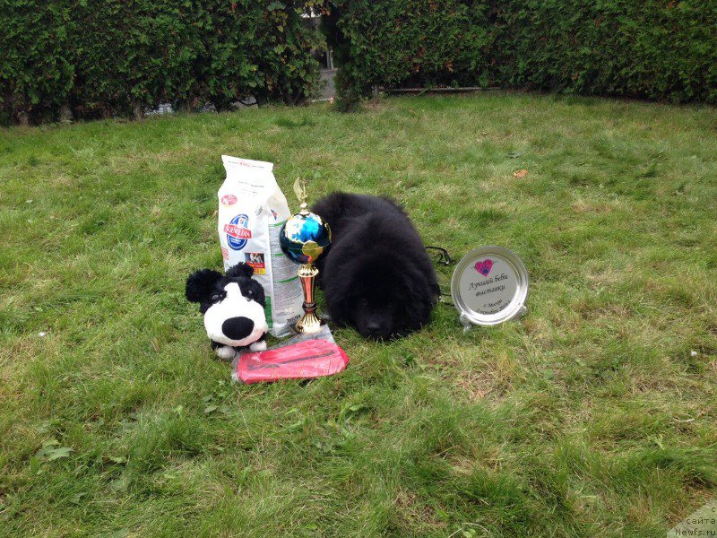 Фотография № 214665