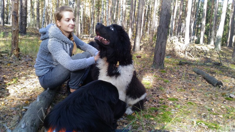 Фотография № 214740