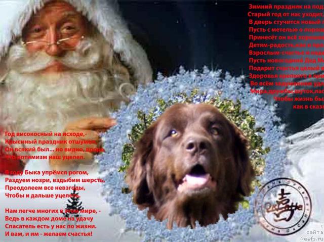 Фотография № 21475