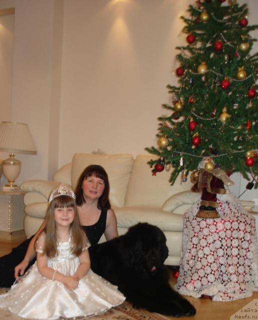 Фото: Наталья Гузеева, ньюфаундленд Fairweathers Emperor, Даша