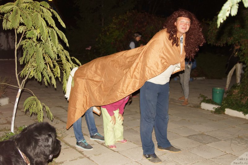 Фотография № 214829