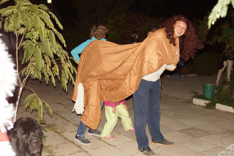 Фотография № 214830