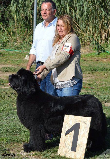 Фотография № 214859