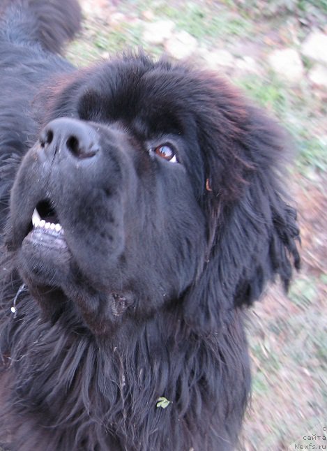 Фотография № 214879