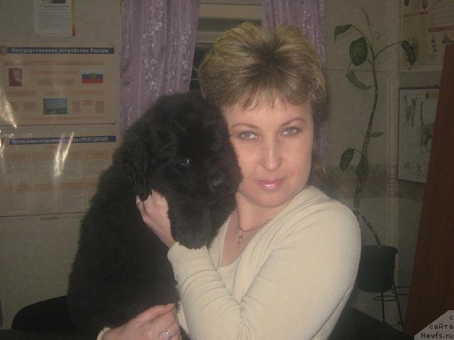 Фото: Кудесник Звездный, сын, ньюфаундленд Блэк Долли Пейв Блэк (Blek Dolli Peyv Black)