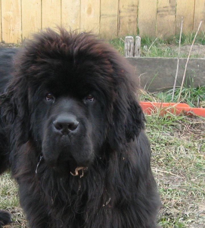 Фотография № 214880