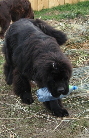 Фотография № 214882