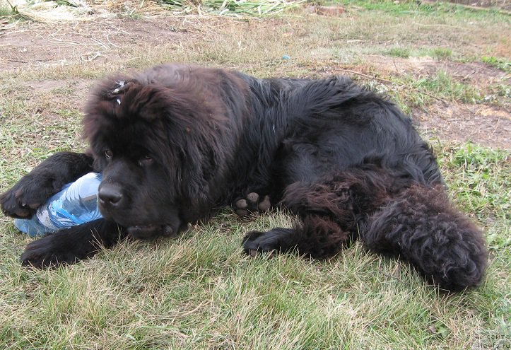 Фотография № 214883