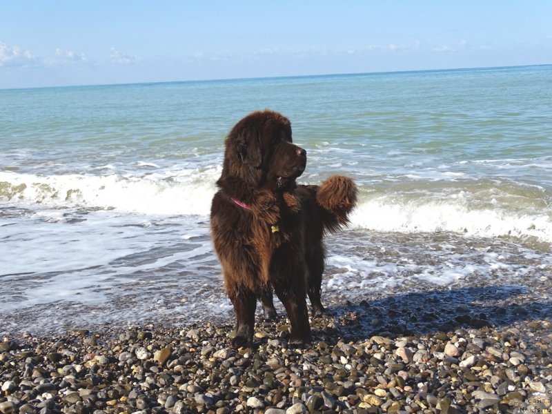 Фотография № 214895