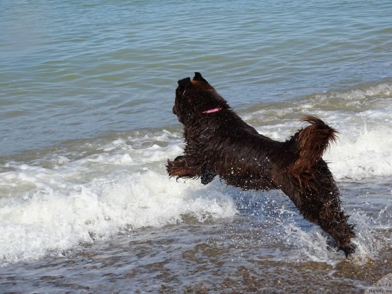 Фотография № 214896