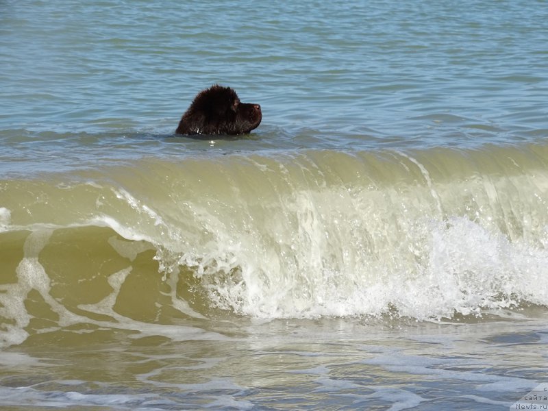 Фотография № 214898