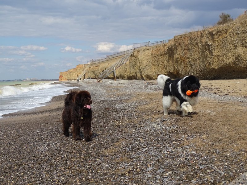 Фотография № 214900