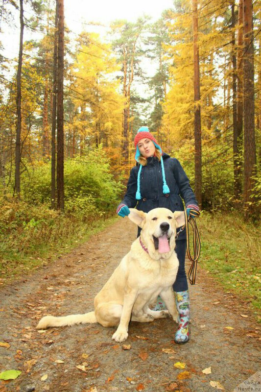 Фотография № 214903